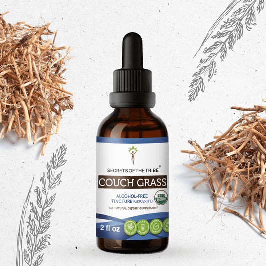 Secrets Of The Tribe Couch Grass Tincture buy online 