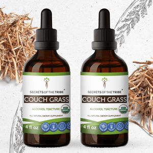 Secrets Of The Tribe Couch Grass Tincture buy online 