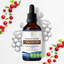 Load image into Gallery viewer, Secrets Of The Tribe Cranberry Tincture buy online 