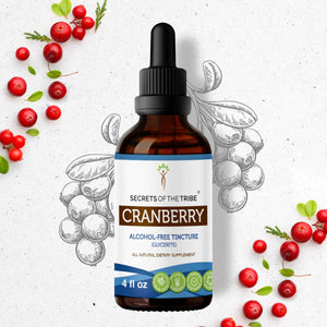 Secrets Of The Tribe Cranberry Tincture buy online 