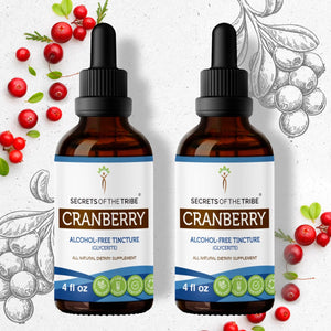 Secrets Of The Tribe Cranberry Tincture buy online 