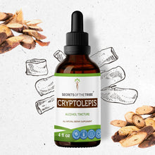 Load image into Gallery viewer, Secrets Of The Tribe Cryptolepis Tincture buy online 