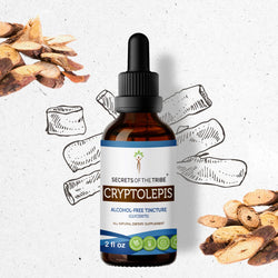 Secrets Of The Tribe Cryptolepis Tincture buy online 