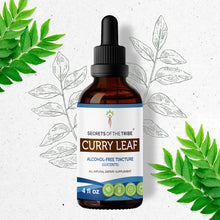 Load image into Gallery viewer, Secrets Of The Tribe Curry Leaf Tincture buy online 