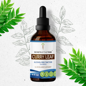 Secrets Of The Tribe Curry Leaf Tincture buy online 