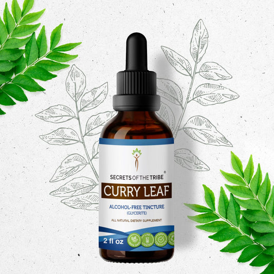 Secrets Of The Tribe Curry Leaf Tincture buy online 