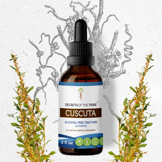 Secrets Of The Tribe Cuscuta Tincture buy online 