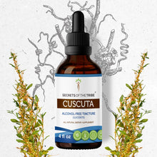 Load image into Gallery viewer, Secrets Of The Tribe Cuscuta Tincture buy online 