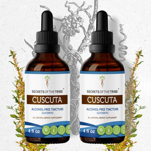 Secrets Of The Tribe Cuscuta Tincture buy online 