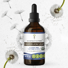 Load image into Gallery viewer, Secrets Of The Tribe Dandelion Leaf Tincture buy online 