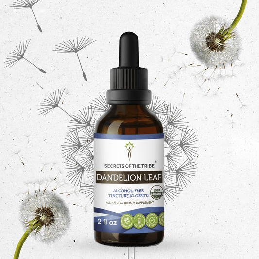 Dandelion Leaf Tincture - Secrets Of The Tribe Dandelion Leaf Tincture Secrets Of The Tribe Tincture