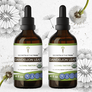 Dandelion Leaf Tincture - Secrets Of The Tribe Dandelion Leaf Tincture Secrets Of The Tribe Tincture