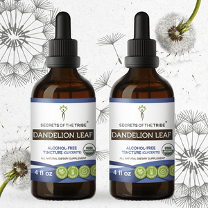 Secrets Of The Tribe Dandelion Leaf Tincture buy online 