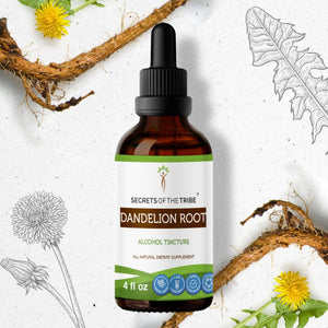 Secrets Of The Tribe Dandelion Root Tincture buy online 