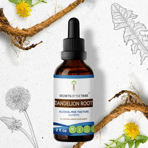 Secrets Of The Tribe Dandelion Root Tincture buy online 