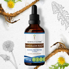 Load image into Gallery viewer, Secrets Of The Tribe Dandelion Root Tincture buy online 