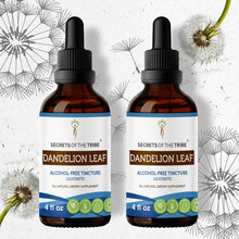 Load image into Gallery viewer, Secrets Of The Tribe Dandelion Root Tincture buy online 