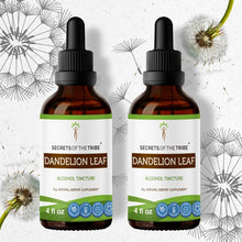 Load image into Gallery viewer, Secrets Of The Tribe Dandelion Root Tincture buy online 