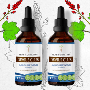 Secrets Of The Tribe Devil's Club Tincture buy online 