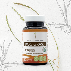 Secrets Of The Tribe Dog Grass Capsules buy online 