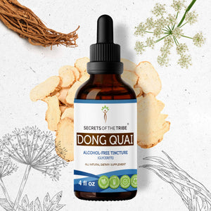 Secrets Of The Tribe Dong Quai Tincture buy online 