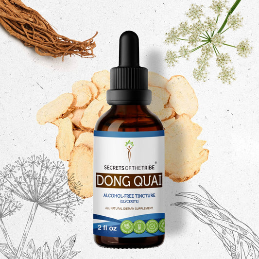 Secrets Of The Tribe Dong Quai Tincture buy online 