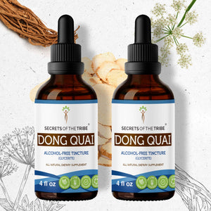 Secrets Of The Tribe Dong Quai Tincture buy online 