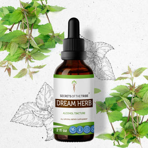 Secrets Of The Tribe Dream Herb Tincture buy online 