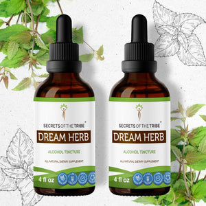 Secrets Of The Tribe Dream Herb Tincture buy online 