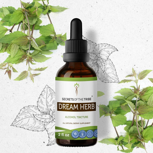 Secrets Of The Tribe Dream Herb Tincture buy online 