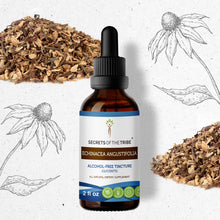 Load image into Gallery viewer, Secrets Of The Tribe Echinacea Angustifolia Tincture buy online 