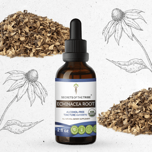 Secrets Of The Tribe Echinacea Root Tincture buy online 