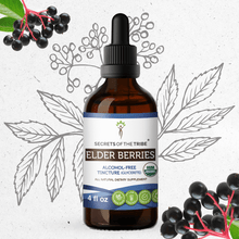 Load image into Gallery viewer, Secrets Of The Tribe Elder Berries Tincture buy online 