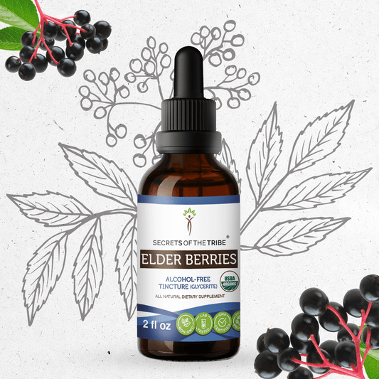 Secrets Of The Tribe Elder Berries Tincture buy online 