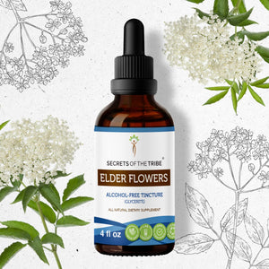 Secrets Of The Tribe Elder Flowers Tincture buy online 