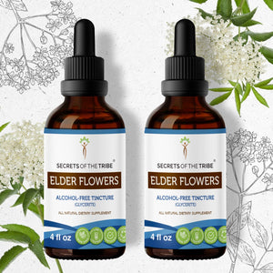 Secrets Of The Tribe Elder Flowers Tincture buy online 