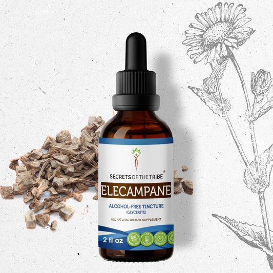 Secrets Of The Tribe Elecampane Tincture buy online 