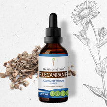 Load image into Gallery viewer, Secrets Of The Tribe Elecampane Tincture buy online 