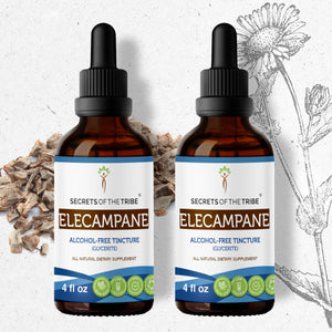 Secrets Of The Tribe Elecampane Tincture buy online 