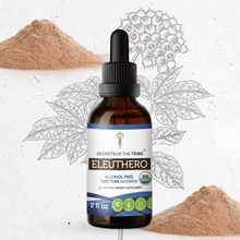 Load image into Gallery viewer, Secrets Of The Tribe Eleuthero Tincture buy online 