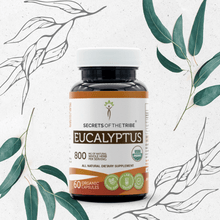 Load image into Gallery viewer, Secrets Of The Tribe Eucalyptus Capsules buy online 