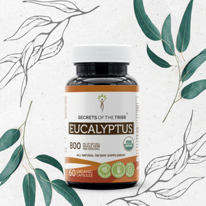Secrets Of The Tribe Eucalyptus Capsules buy online 