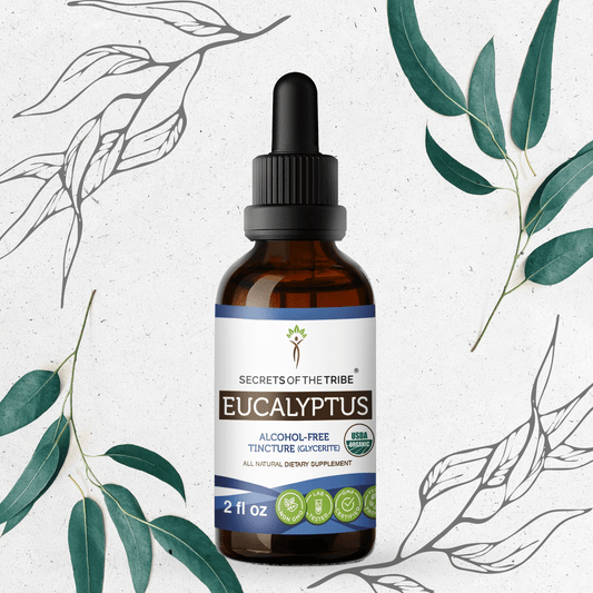 Secrets Of The Tribe Eucalyptus Tincture buy online 