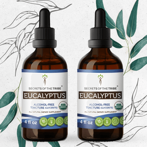 Secrets Of The Tribe Eucalyptus Tincture buy online 