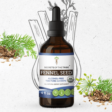 Load image into Gallery viewer, Secrets Of The Tribe Fennel Seed Tincture buy online 