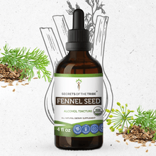 Load image into Gallery viewer, Secrets Of The Tribe Fennel Seed Tincture buy online 