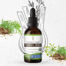 Load image into Gallery viewer, Secrets Of The Tribe Fennel Seed Tincture buy online 