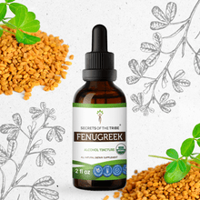Load image into Gallery viewer, Secrets Of The Tribe Fenugreek Tincture buy online 