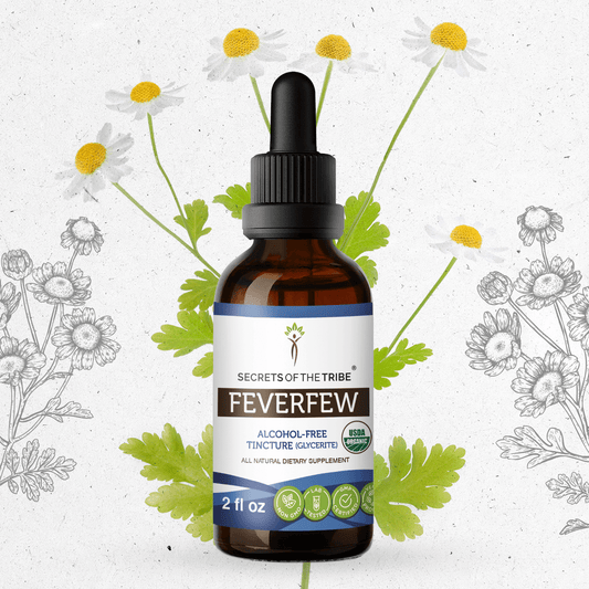 Secrets Of The Tribe Feverfew Tincture buy online 