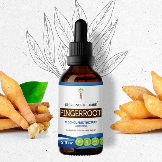 Secrets Of The Tribe Fingerroot Tincture buy online 